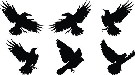 Dramatic Bird Flight Set