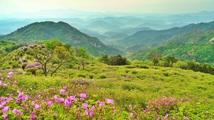 Beautiful Korean Mountains