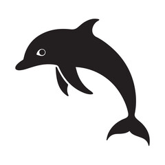 dolphin isolated on white background