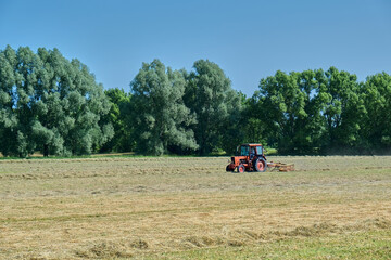 Red vintage tractor raking hay on a sunlit rural field, surrounded by tall green trees and clear...