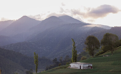 Paisaje de montaña andina al atardecer con cabaña rural y cultivos en primer plano