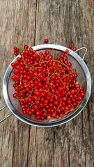 red currants in a bowl