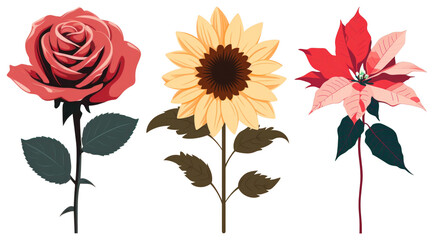 PNG Vibrant floral art trio, element set on transparent background