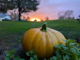 beautiful country sunset with pumpkin in foreground