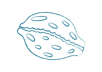 Chalk crayon seashell shape. Unique seashell form in doodle style. Underwater marine creature, graphic texture, potential for summer themes or aquatic designs.