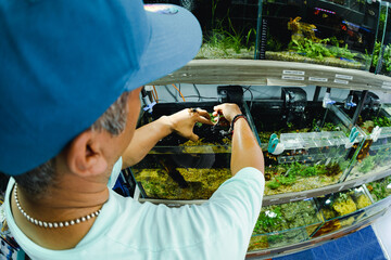 Person maintaining fish tanks in pet store