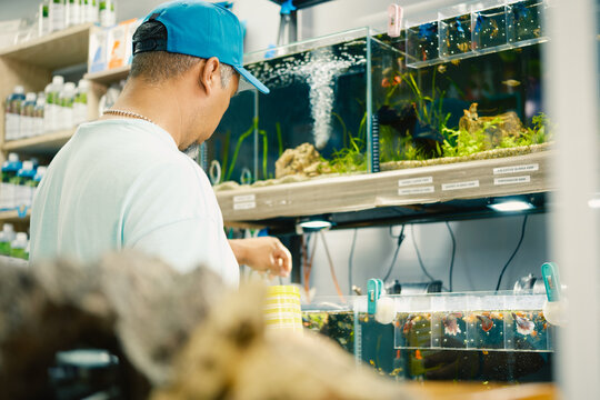 Worker placing product in fish tanks in pet store