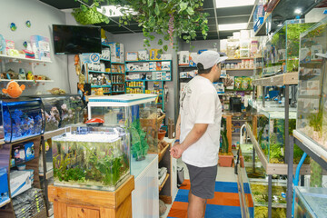 Person watching fish in aquariums at store