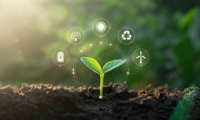 Young sprout emerging from soil, surrounded by eco-friendly icons