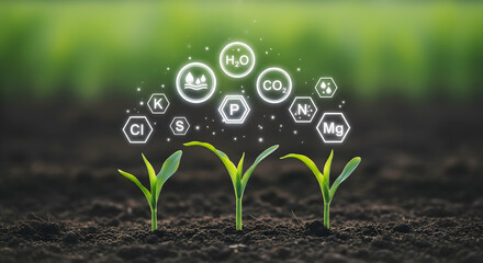 Young corn sprouts emerge from dark soil, surrounded by glowing chemical symbols