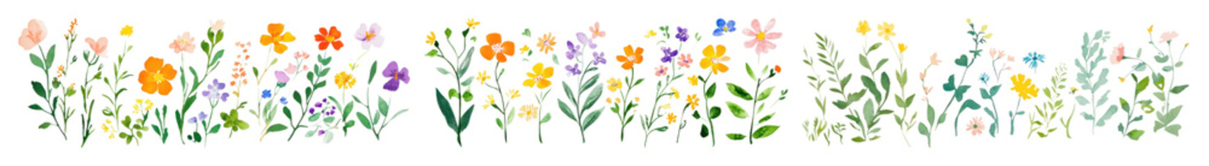 PNG Colorful wildflower border illustration, element set on transparent background