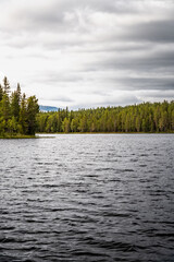 Tranquil lake at Vålådalen Nature Reserve in Jämtland, Sweden, features a rich dense pine forest...