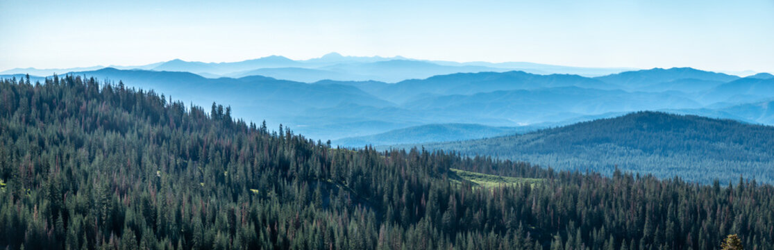 Shasta-Trinity National Forest  and landscapes