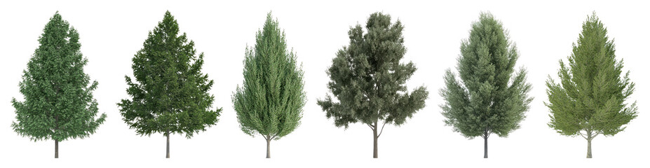 Fototapeta premium PNG Illustration of six diverse evergreen trees transparent background.