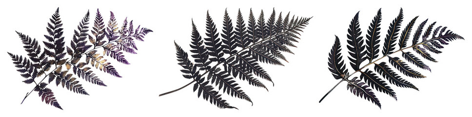 Naklejka premium PNG Vibrant metallic fern leaves, element set on transparent background