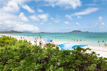 Kailua Beach, located on the windward side of Oahu, is a popular destination known for its long, sandy shoreline, clear blue waters, and family-friendly atmosphere. Hawaii Honolulu