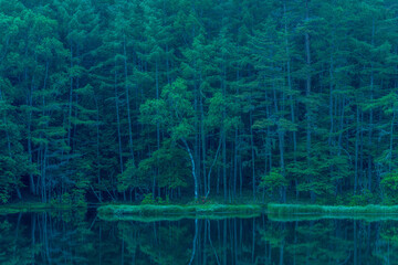 Mishaka Pond with green trees reflection early in the morning.