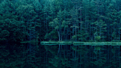 Mishaka Pond with green trees reflection early in the morning.