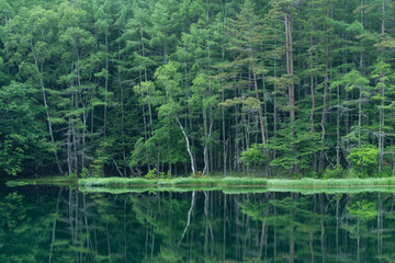 Mishaka Pond with green trees reflection early in the morning.