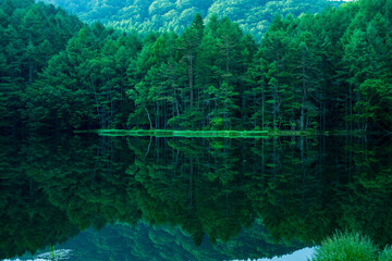 Mishaka Pond with green trees reflection early in the morning.