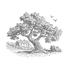Fototapeta premium Tree in a Rural Landscape. Vintage rough woodcut engraving linocut style vector illustration.