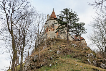 Medieval castle on hill surrounded by winter trees in europe