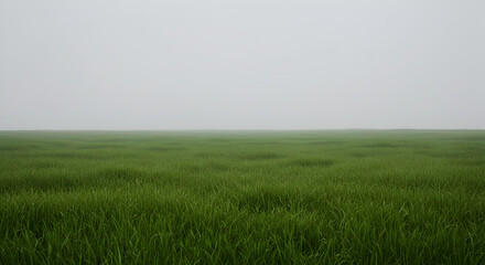 Fototapeta premium Serene Fog-Shrouded Green Field