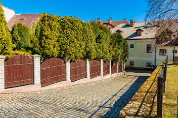 Charming suburban street with cobbled path and lush foliage in bright daylight
