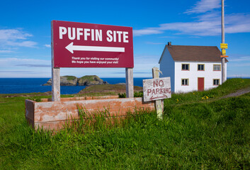 A red sign points puffin enthusiasts to a puffin viewing site in Elliston, Newfoundland

