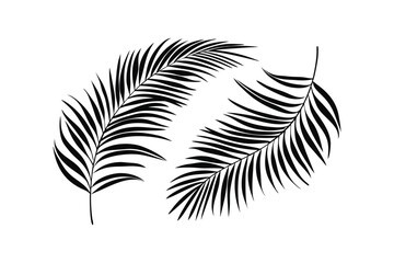 Elegant Black Palm Leaf Icons Vector Set for Tropical Decor and Nature Design Projects