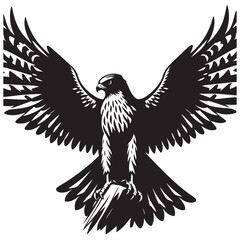 Fototapeta premium eagle vector illustration