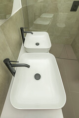  These faucets typically have a slender, elegant silhouette, becoming a striking vertical element