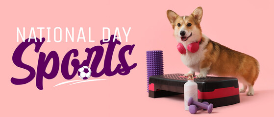 Cute Corgi dog with headphones and sports equipment on pink background