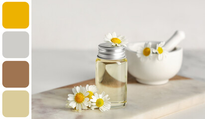 Bottle of chamomile cosmetic oil and mortar with flowers on white background