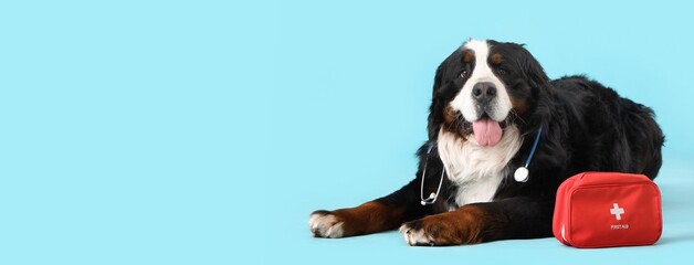 Cute  dog with first aid kit and stethoscope on blue background with space for text