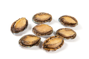 raw abalones isolated on white background.