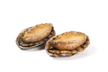 raw abalones isolated on white background.