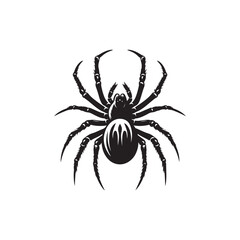 Spider Vector (4).eps