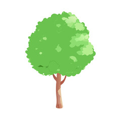 "Ultimate SVG Vector Design Bundle &ndash; Abstract, Geometric, Botanical, Mandala, Minimal, Vintage & Modern Elements for Cricut, Laser Cutting, Sublimation, and DIY Crafts"