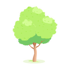 "Ultimate SVG Vector Design Bundle &ndash; Abstract, Geometric, Botanical, Mandala, Minimal, Vintage & Modern Elements for Cricut, Laser Cutting, Sublimation, and DIY Crafts"