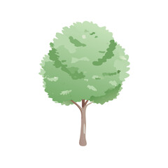 "Ultimate SVG Vector Design Bundle &ndash; Abstract, Geometric, Botanical, Mandala, Minimal, Vintage & Modern Elements for Cricut, Laser Cutting, Sublimation, and DIY Crafts"