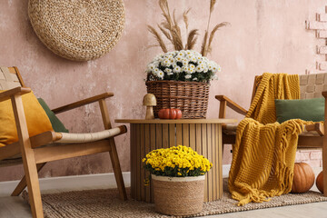 Armchairs, coffee table with chrysanthemum flowers and decor near beige grunge wall in room
