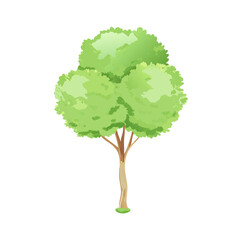 "Ultimate SVG Vector Design Bundle &ndash; Abstract, Geometric, Botanical, Mandala, Minimal, Vintage & Modern Elements for Cricut, Laser Cutting, Sublimation, and DIY Crafts"