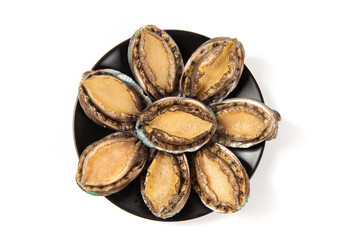 raw abalones in plate isolated on white background.