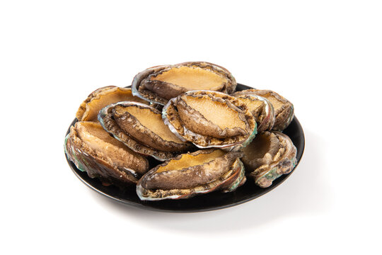 raw abalones in plate isolated on white background.