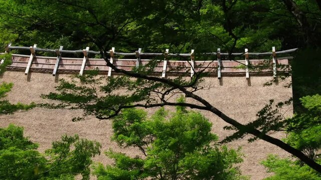 茅葺屋根と新緑