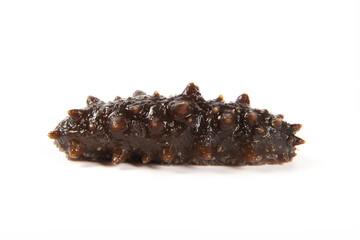 Raw cucumber trepang stichopus isolated on white background