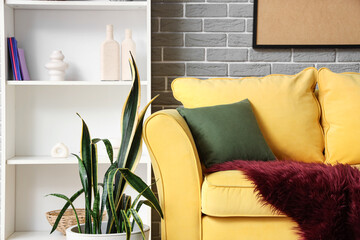 Shelving unit with yellow sofa and houseplant in modern living room
