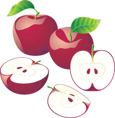vector illustration of a red apple