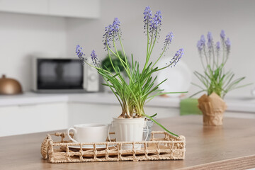 Tray with Muscari flowers and cup of coffee on table in kitchen